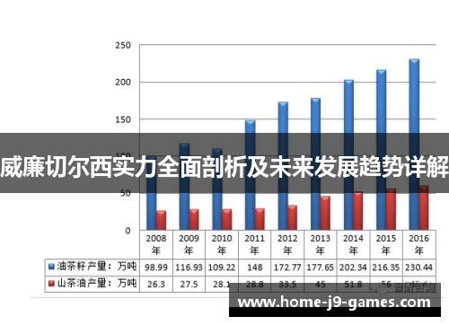 威廉切尔西实力全面剖析及未来发展趋势详解 威廉切尔西实力全面剖析及未来发展趋势详解